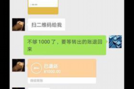 马山融资清欠服务